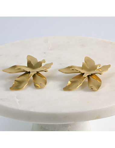 Kolczyki  ze stali chirurgicznej  Złote MAXI...