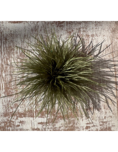 KWIAT Z PIÓR  BROSZKA PRZYPINKA PIÓRA PUSZEK...